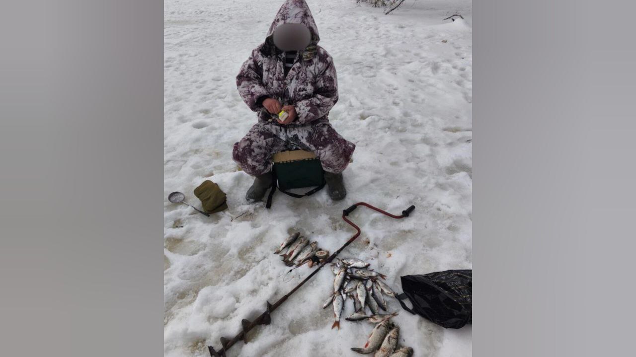 На саратовских рыбаков-браконьеров завели уголовные дела
